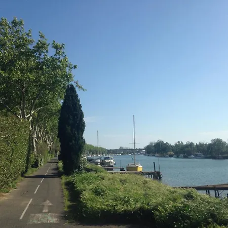 50m2 *